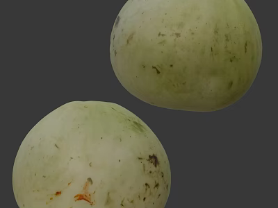Fresh Green Vegetable Melons With Smooth Skin And Natural Spots On Dark Background 3d model