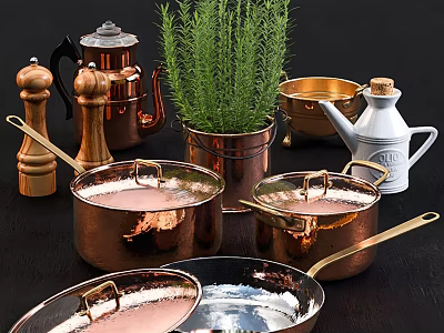 Vintage Copper Cookware Collection With Wooden Grinders Rosemary Planter And Silver Pans 3d model