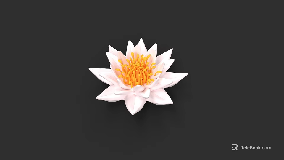 Beautiful White Lotus Flower With White Petals And Yellow Stamens On Black Background 3d model 