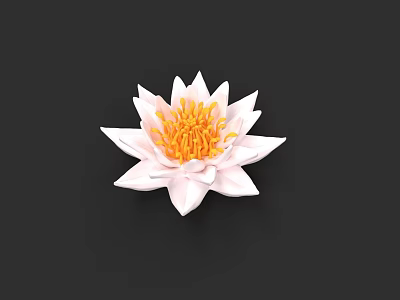 Beautiful White Lotus Flower With White Petals And Yellow Stamens On Black Background 3d model