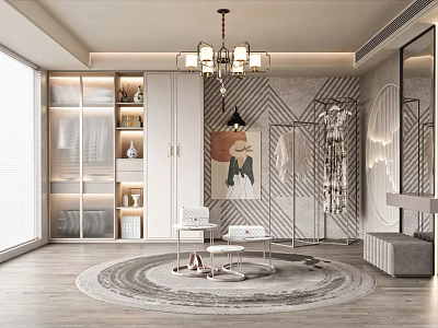 Modern Closet Interior With Wardrobes Clothes Rack Mirror And Round Rug 3d model