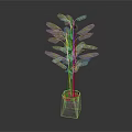 Bamboo Plant In Concrete Square Pot With Green Leaves And Brown Stems
