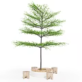 Modern Tree Pool Landscape Tree Pool 3d model