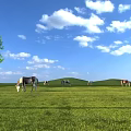Scenic Green Meadow Landscape With Blue Sky White Clouds And Grazing Horses