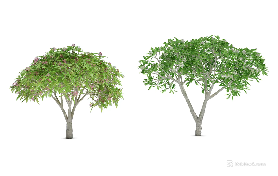 Two Ornamental Trees With Pink Flowers And Green Foliage In Garden View 3d model 