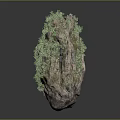 Garden Ornament With Rough Stone And Lush Green Plants In Natural Style