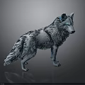Wolf With Blue And White Fur And Glowing Eyes In Standing Pose Against Dark Background