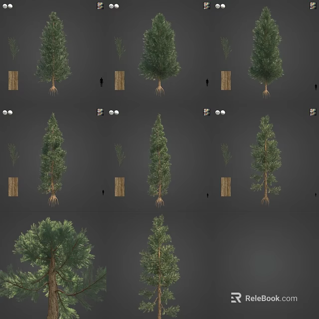 Arbor Trees Featuring Detailed Root Systems And Lush Foliage In Various Views 3d model