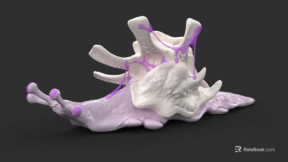 White and Purple Sea Snail with Spiral Shell and Decorative Purple Accents 3d model 