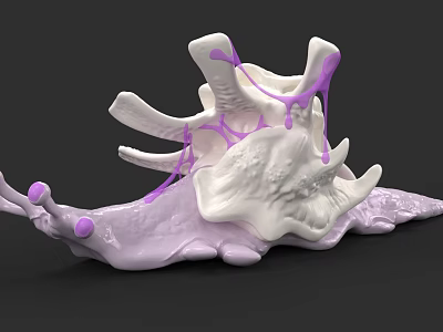 White and Purple Sea Snail with Spiral Shell and Decorative Purple Accents 3d model