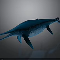 Blue Ichthyosaur With Long Snout And Fin Like Limbs 3D Model On Dark Surface