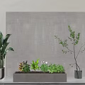 Indoor Potted Bonsai Plants In Rectangular Concrete Planter With Mixed Greenery 3d model