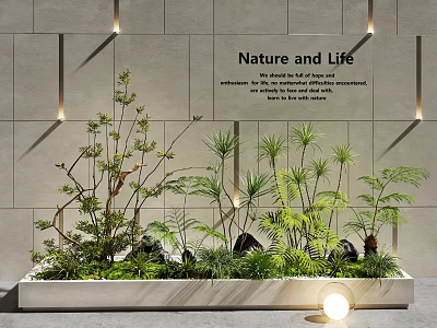 Decorative Indoor Plant Combination In White Rectangular Planter Gray Tiled Wall And Nature Life Theme 3d model