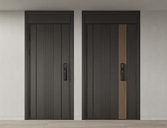 Modern Password Door Entry Door 3d model