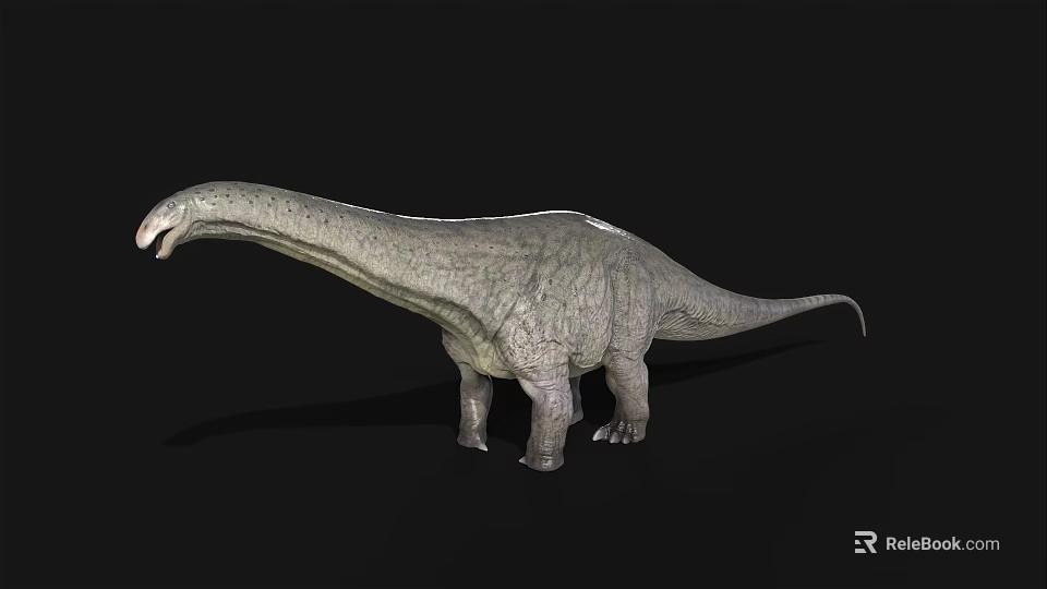 Lifelike 3D Sauropod Dinosaur Model With Long Neck Gray Skin On Black Background 3d model 