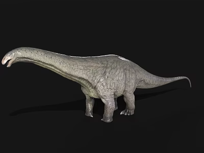 Lifelike 3D Sauropod Dinosaur Model With Long Neck Gray Skin On Black Background 3d model