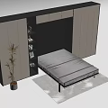 Modern Hidden Wall Bed Design With Cabinet Storage Plant And Rug 3d model