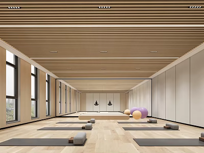 Spacious Yoga Studio With Wooden Ceiling Large Windows Yoga Mats And Balls For Fitness Practice 3d model