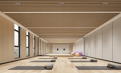 Modern Yoga Room 3d model