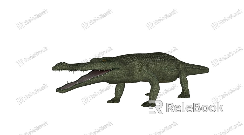 Modern Crocodile Animals model