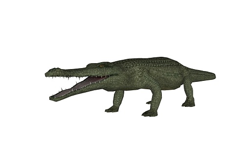 Modern Crocodile Animals 3d model