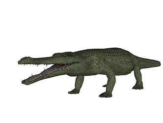 Modern Crocodile Animals 3d model