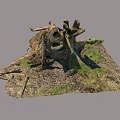 Rustic Outdoor Wooden Stump With Dead Wood Moss Stones And Soil