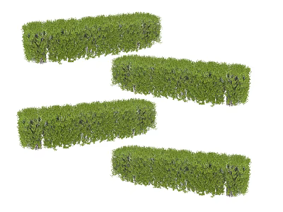 Lush Green Living Plant Wall Neatly Arranged In Four Rows For Indoor Outdoor Decor 3d model