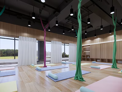 Yoga Studio With Colorful Hammocks And Exercise Mats For Fitness Classes 3d model