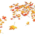 Autumn Maple Leaf Photo Spot With Scattered Colorful Leaves on White Background