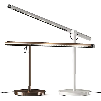 Modern Desk Lamp with Black and White Color Options Slim Long Arm Design 3d model