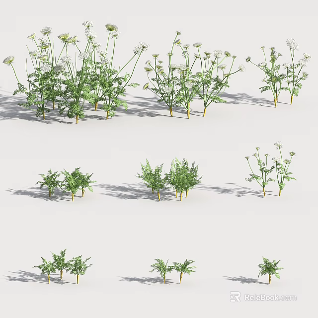 Fresh Green Vegetable Plants Different Types Arranged Neatly On White Background 3d model