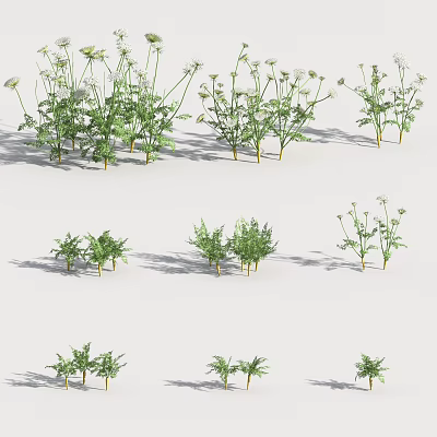 Modern carrots 3d model Modern carrots 3d model