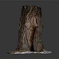 Natural Tree Stump With Rough Bark Texture And Snowy Base
