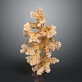 Beautiful Branching Coral Formation Providing Vital Habitat For Diverse Aquatic Animals
