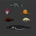 Different Types of Marine Creatures Including Fish Sea Anemone Octopus Jellyfish Whale and Sea Urchin