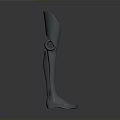 Modern Lightweight Comfortable Prosthetic Leg With Ergonomic Design For Daily Use