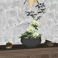 Elegant Bonsai Potted Plant With Yellow Flowers Green Leaves on Wooden Cabinet Against Concrete Wall