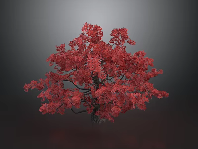 Red Leaf Tree With Vibrant Red Leaves And Lush Foliage Against Gray Background 3d model