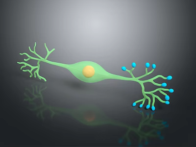 Medical Device 3D Neuron Model With Green Cell Body Yellow Nucleus Blue Synapses 3d model