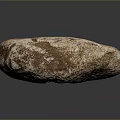 Brown White Textured Natural Stone and Wood Like Surface with Black Background Reflection