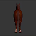 Red Horse Animal Painting in Standing Pose with Gray Gradient Background