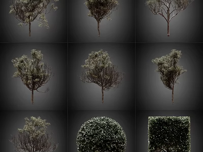 Diverse Plant Varieties With Various Tree Forms And Pruned Spherical Square Shrubs 3d model