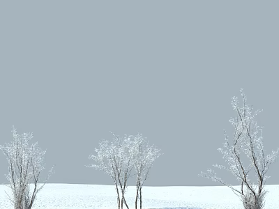 Snow Covered Trees Standing in Snowy Field With Gray Sky Background 3d model