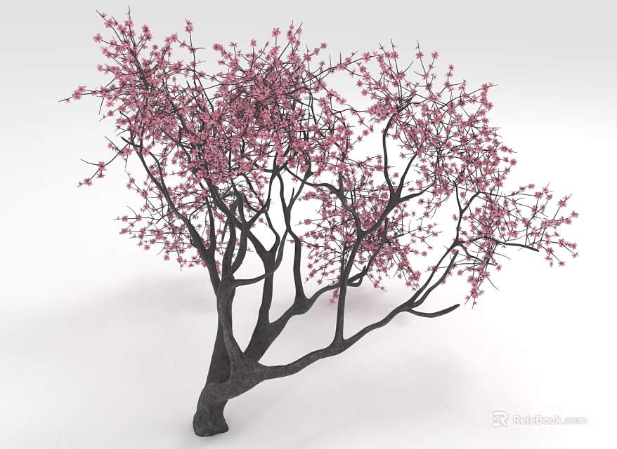 Stunning Tree With Pink Blossoms On Long Spreading Branches And Dense Blooms 3d model 
