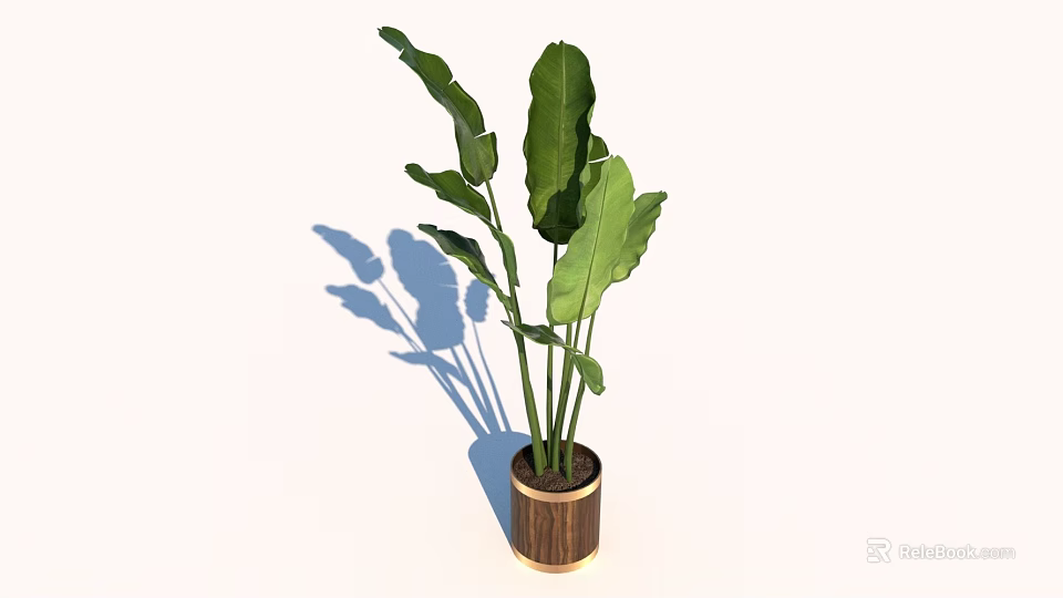Decorative Bonsai Potted Plant With Large Green Leaves In Wooden Pot 3d model 