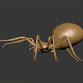 Shiny Golden Spider Sculpture With Metallic Body And Detailed Legs On Reflective Surface