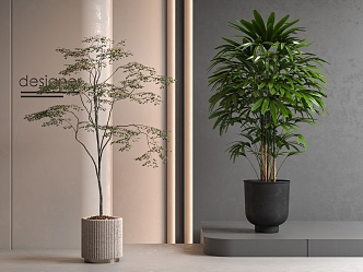 green plant potted floor plant 3d model