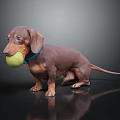 Dachshund With Blue Collar Holding Tennis Ball Standing On Black Reflective Surface Against Dark Background