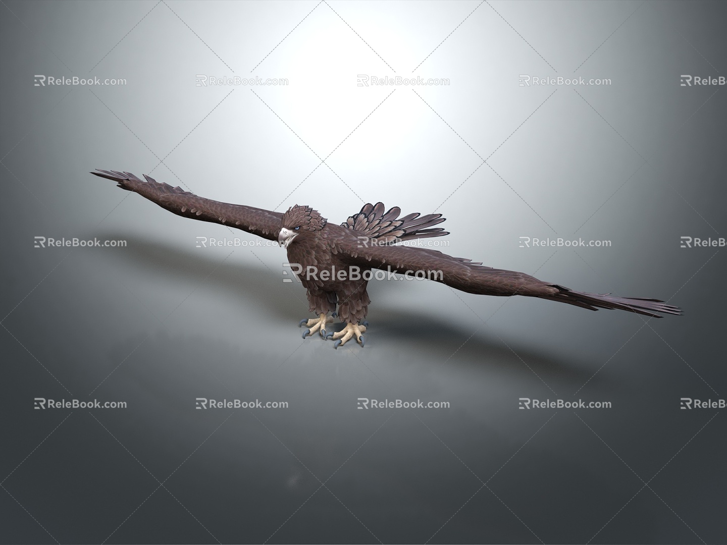 Modern Eagle 3d model